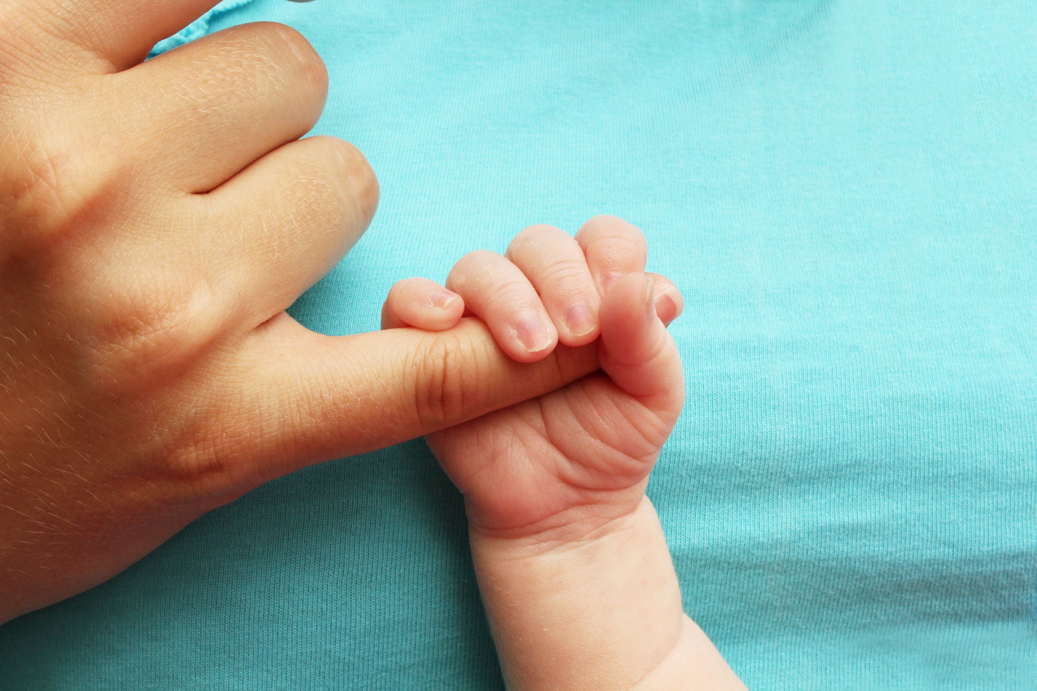 Small baby holding parents hand on blue background
