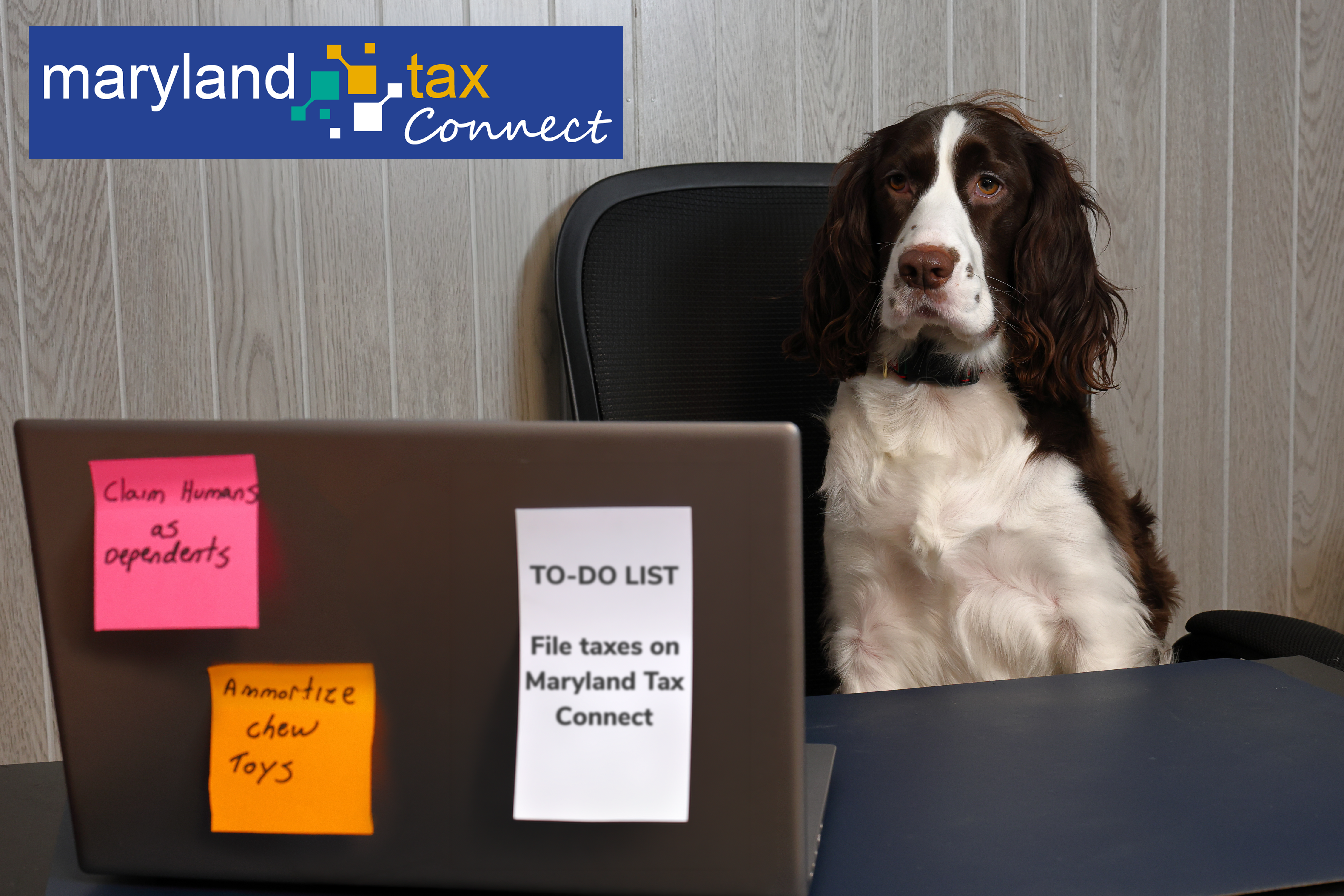 Dog filing taxes at a laptop using Maryland Tax Connect